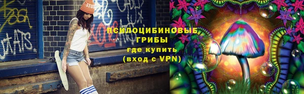 PSILOCYBIN Алексеевка