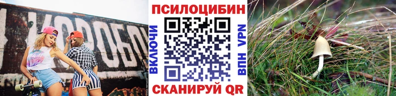 Галлюциногенные грибы MAGIC MUSHROOMS  Купить  Воткинск 